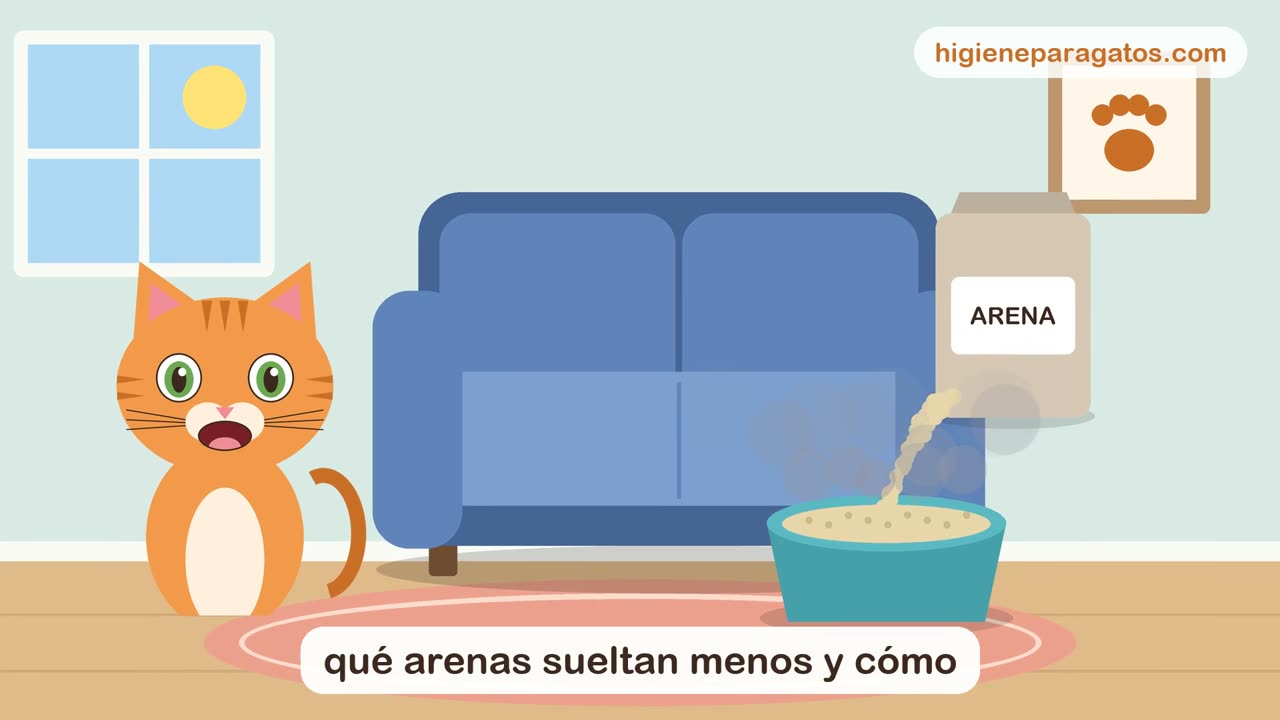 Vídeo: qué arena para gatos sin polvo elegir