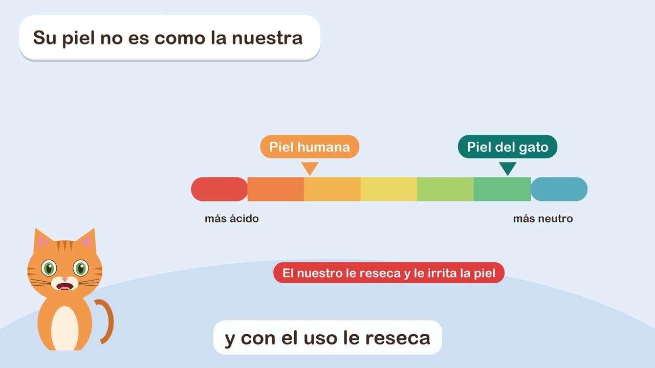 Vídeo: qué champú usar con tu gato