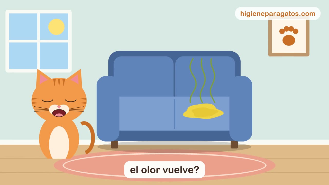 Vídeo: cómo quitar el olor a pis de gato del sofá